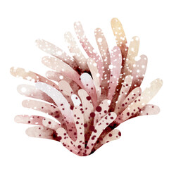 Fototapeta premium Watercolor illustration of underwater sea corals. Marine underwater plants. Illustration isolated on a white background. Postcard, sticker, sublimation.