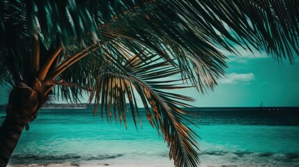 Naklejka premium Exotic palm tree on the seashore. Tropical paradise, summer vacation by the sea. Generative AI