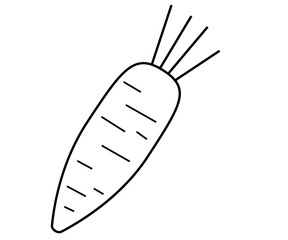 Carrot vector drawing icon, illustration of farm product. Drawing, isolated on white background.
