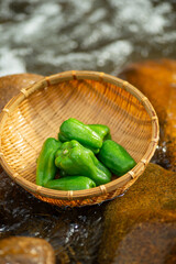 新鮮なピーマン