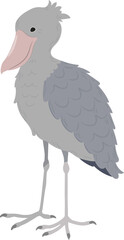 Simple and adorable flat colored Shoebill illustration