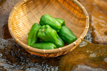 新鮮なピーマン