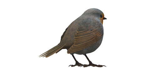 Robin Bird isolated on a Transparent Background