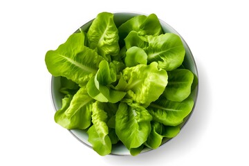 Green lettuce leaves in a salad bowl are vibrant. Generative AI