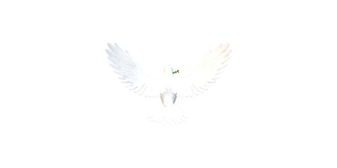 Peace Dove isolated on a Transparent Background