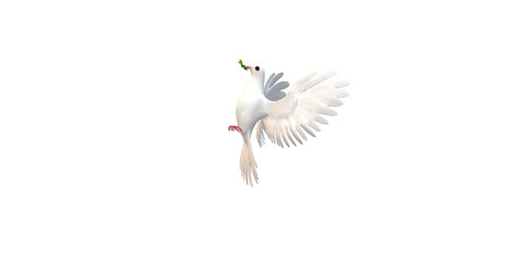 Peace Dove isolated on a Transparent Background