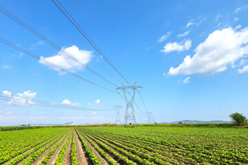 High voltage power transmission lines 