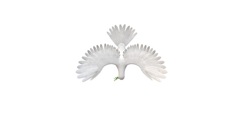 Peace Dove isolated on a Transparent Background