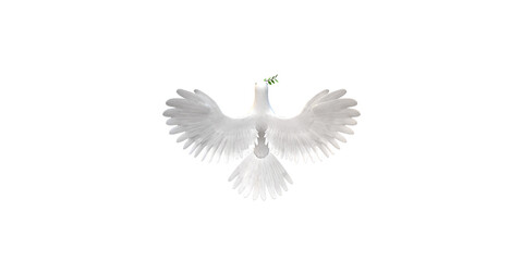Peace Dove isolated on a Transparent Background