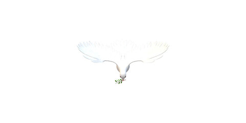 Peace Dove isolated on a Transparent Background