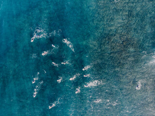 surfers from above