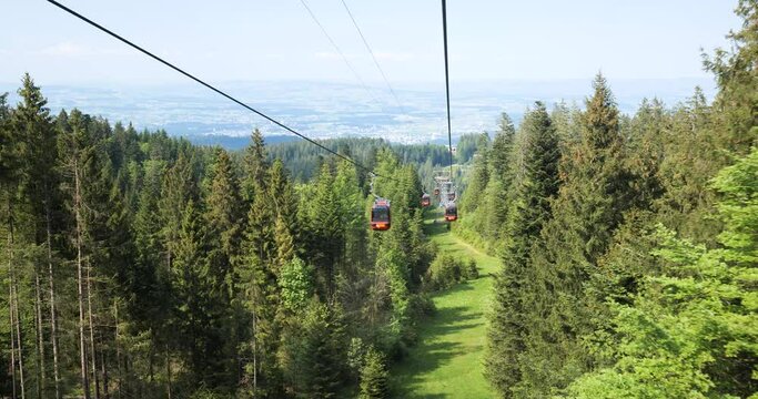 Funicular or cable car ride in the Swiss Alps. Green forest and pines trees, sunny day, red calbe cars, real time, no people