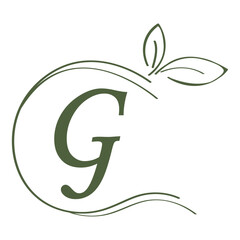 letter logo vector illustration design