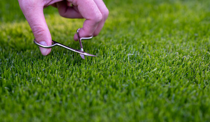 Symbol for a perfectionist who cuts the lawn with small scissors.