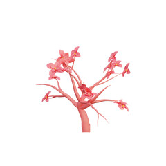 3D Sakura Illustration