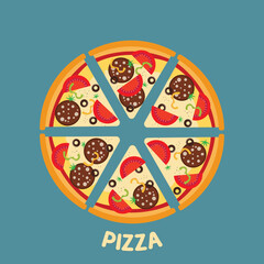 Flat vector illustration of italian pizza