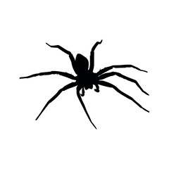 spider silhoeutte vector