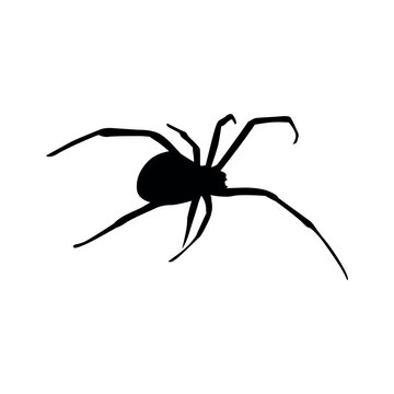 spider silhoeutte vector