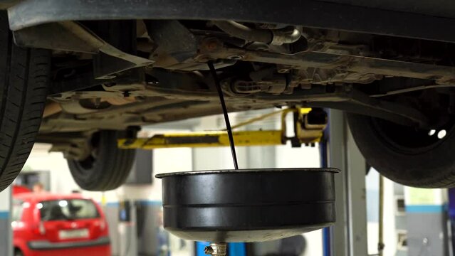 Drain the old oil from the engine through the drain plug.  Waste oil is drained from the car on a lift. Car maintenance. Changing the oil in a car engine. 