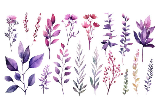 Big Set watercolor elements - herbs, leaf. Flat hand-drawn illustration isolated on white background. Generative AI