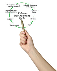 Components of Release Management Cycle