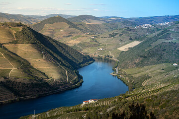 Naklejka na ściany i meble Viewpoint view of terraced vineyards at romantic in Douro valley near Pinhao village, heritage of humanity 