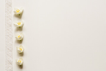 Beautiful flower arrangement. Delicate white jasmine flowers, white openwork ribbon, free space for...