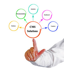 content management system (CMS) Solutions
