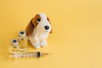 犬のぬいぐるみと注射器　犬のワクチン接種　動物病院