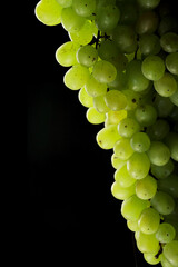 Bunch of green grapes with water drops on black background - obrazy, fototapety, plakaty