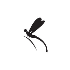 dragonfly logo design vector illustration