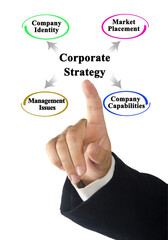 four Areas of Application of Corporate Strategy