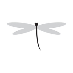 dragonfly logo design vector illustration