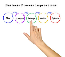 Steps in Business Process Improvement