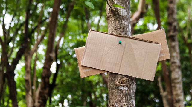 Blank brown paper sign on a tree trunk, concept for forests and environment saving and preservation                               
