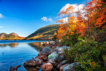 beautiful autumn landscape with mountains in colorful autumn trees on the lake. Acadia National Park. USA. Maine. - obrazy, fototapety, plakaty