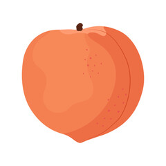 Whole peach . Flat vector colored peach.