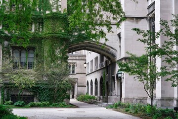Ivy covered neo-gothic limestone buildings on the campus of the University of Chicago