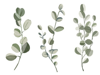 leaves Decorative leaf stems, wedding invitation cards hand drawn on transparent background