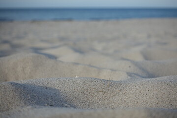Sand dunes by the sea