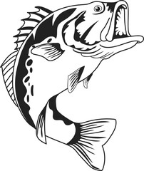 hand drawn bass fish vector
