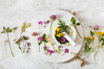 medical flowers herbs in mortar. clover milfoil tansy rosebay. healthy natural lifestyle