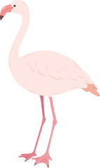 Simple and adorable flat colored pink Flamingo illustration