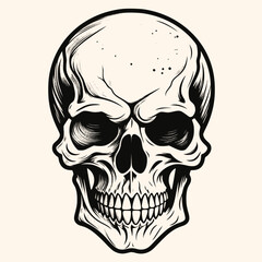 Human skull, black and white drawing elegant style