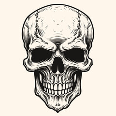 Human skull, black and white drawing elegant style