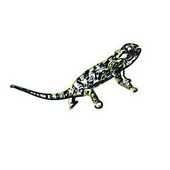 chameleon color sketch with transparent background
