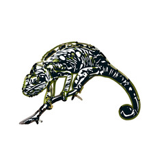 chameleon color sketch with transparent background
