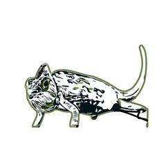 chameleon color sketch with transparent background