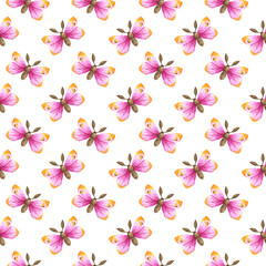 Watercolor set pattern of butterfly isolated on white background. Handpaiting watercolor illustration on white background.