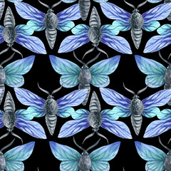 Watercolor set pattern of butterfly isolated on black  background. Handpaiting watercolor illustration on white background.